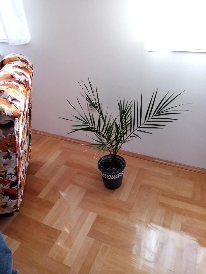 Apartman Maca Pirot Kültér fotó