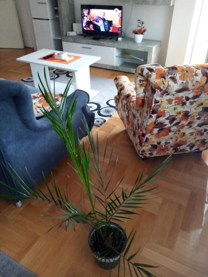 Apartman Maca Pirot Kültér fotó