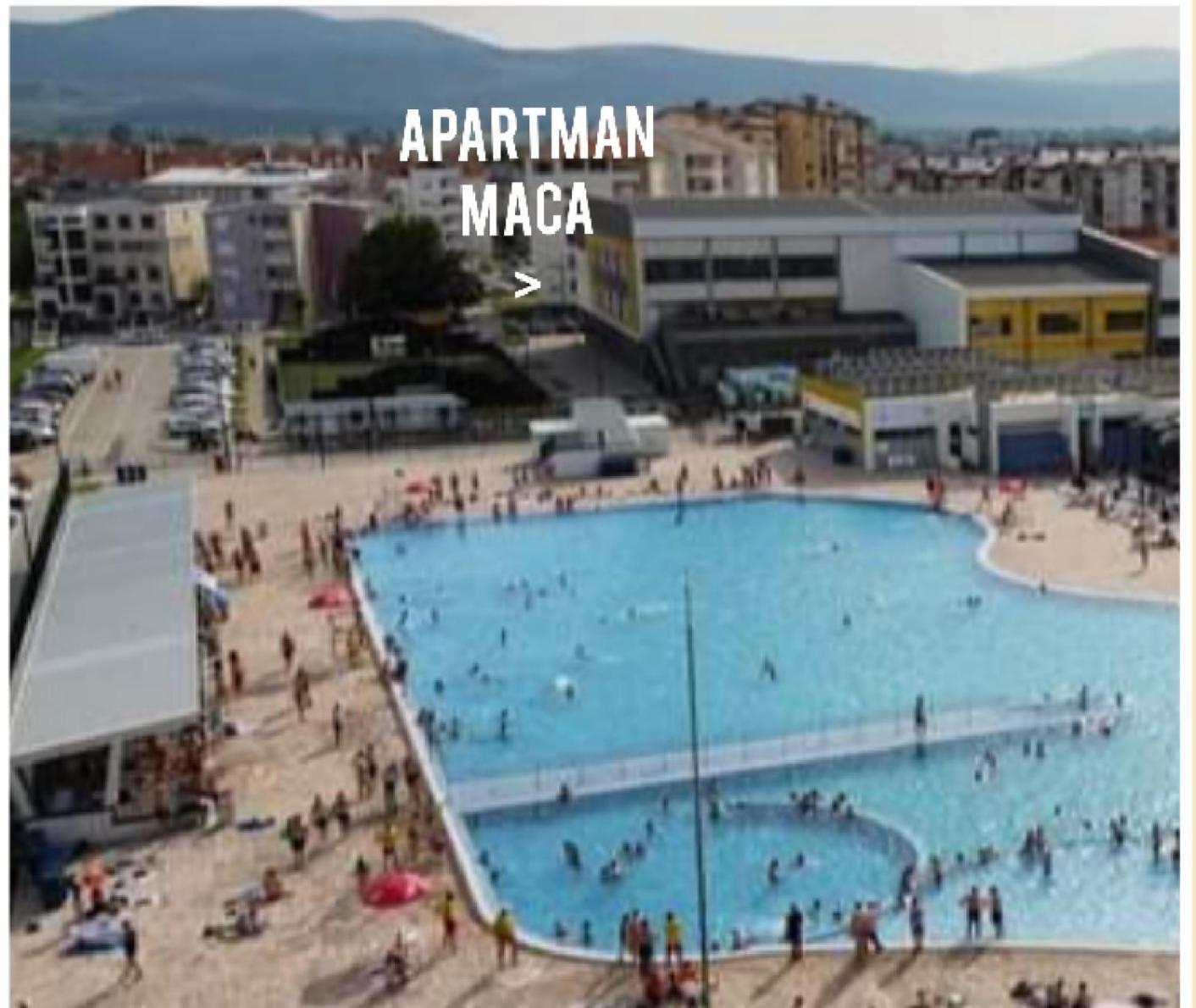 Apartman Maca Pirot Kültér fotó