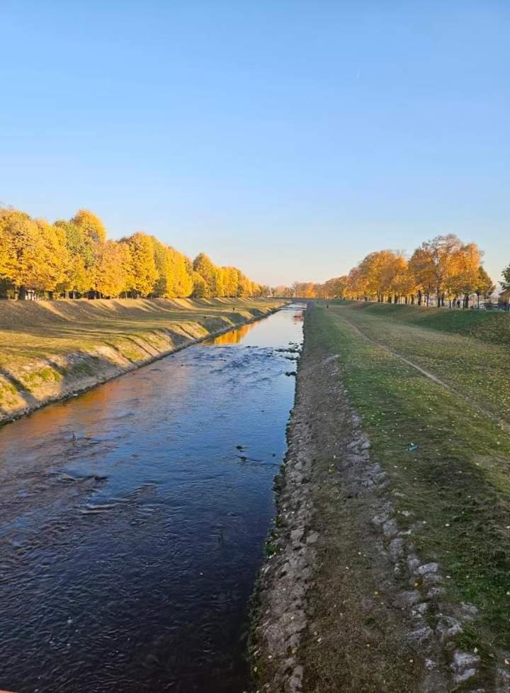 Apartman Maca Pirot Kültér fotó